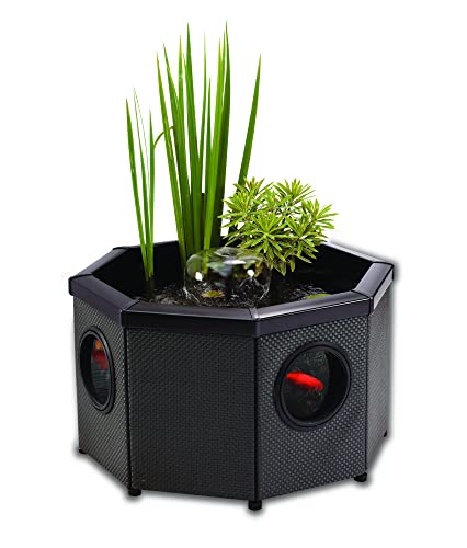 Aquagarden, Affinity Kompletter Hochteichbausatz mit Fenstern - Achteckig, Pool mit Wasserspiel, einschließlich Inpond 5 in 1 2000 Teich- und Wasserpumpe mit UV-Klärer, DREI Fenster