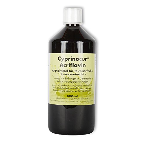 Cyprinocur® Acriflavin Bekämpfung von Bakteriellen Infektion