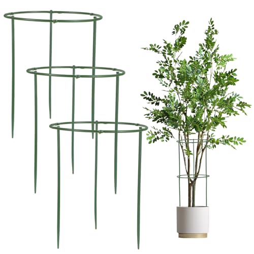 Wanmu 3 Stück Pflanzenstützen Rund, Rankhilfe Pflanzenstütze Ringkäfige Blumenhalter für Gartenpflanzen Gemüse Tomaten Bohnen Erbsen Pfingstrosen Gurken Orchideen