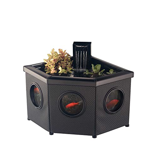 Blagdon Affinity View Corner Living Water Feature Eckteichbecken für Wasserlebewesen, mit Sichtfenster, Inpond 5-in-1-Filterpumpe 2000, LED-Strahler, 3 schönen Springbrunnenköpfen, 1 Pflanzkorb