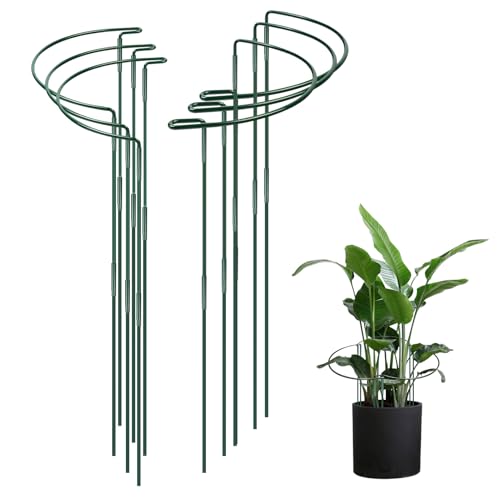 ASOFTY 6 Stück Pflanzenstützen, 60X30cm Metall Halbrund Pflanze Stützpfähle, Befestigbare Garten Blumenstütze, Grün Staudenhalter, Pflanzenhalter für Topfpflanzen, Blumen, Gemüse