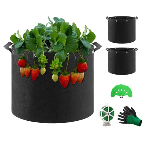 QCR Kartoffelsack mit Griff, 3X 26L Wiederverwendbare Pflanztasche für Den Anbau von Kartoffeln, Tomaten, Gemüse, Blumen, Belüfteter Gartentopf, 26 Liter (D35 x H28)