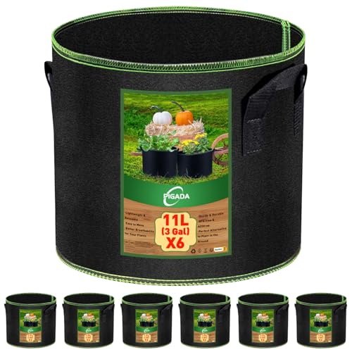 Tomaten kübel,11 L Pflanzsack aus Stoff,Kartoffelsack mit Griff, Wiederverwendbare Pflanztasche für Den Anbau von Kartoffeln, Tomaten,Gemüse,Blumen,Verdickter und Belüfteter Gartentopf, 6 Stück -3 Gal
