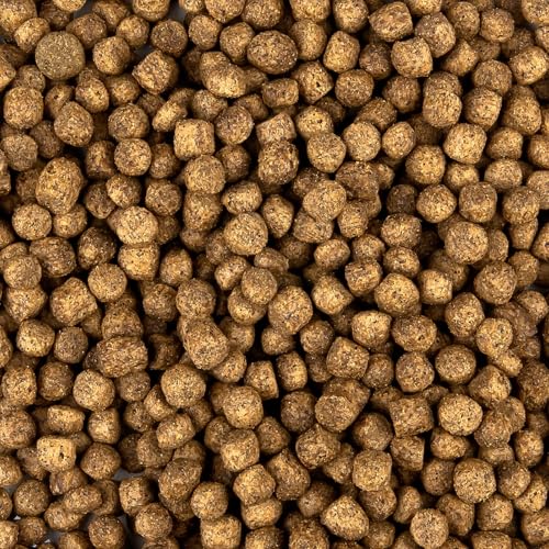 All Season Koifutter 6mm - schwimmendes Ganzjahres Futter für Koi und Teichfische für ausgewogene Fisch-Ernährung mit Fischöl, Astaxanthin (13,5 kg)