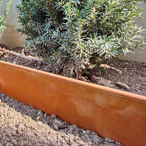 Rori Cortenstahl Rasenkante 5 m - abgerundete Oberseite - 5 x 1m Rasenkanten biegen - DIY Lawn Edging - Umzäunung für Obstgärten - Beeteinfassung - 16 cm Höhe