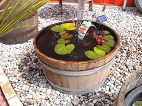 Fertigteich aus Kunststoff Gartenteich Ratgeber