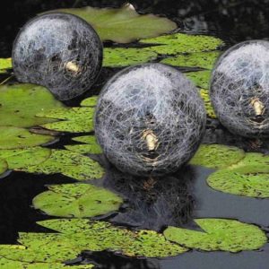 Schwimmkugeln im Gartenteich Gartenteich Ratgeber