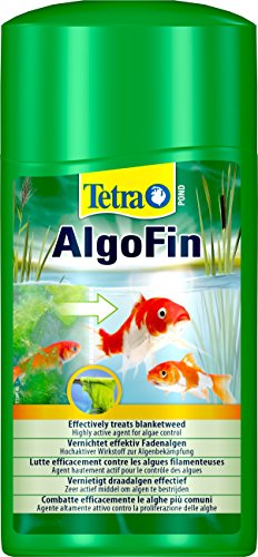 Algen im Teich Hausmittel Was funktioniert wirklich? 2 Tipps die klappen!