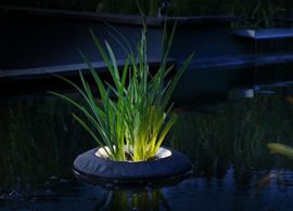 Gartenteich Der große Ratgeber zu Teichpflanzen, Fischen und Teichbau