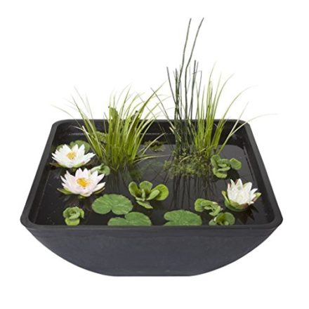 Einen Miniteich anlegen und bepflanzen Gartenteich Ratgeber