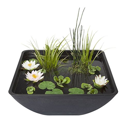 Einen Miniteich anlegen und bepflanzen Gartenteich Ratgeber