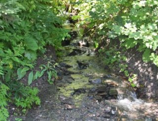 Bachlauf im Gebirge