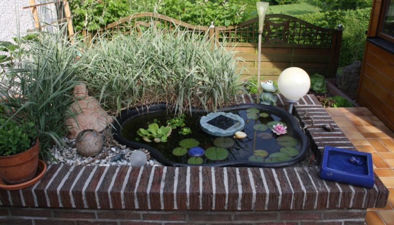 Fischteich anlegen Den optimalen Teich für Fische bauen => So gehts!