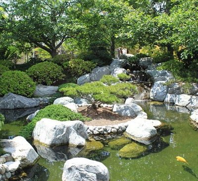Gartenteich Der große Ratgeber zu Teichpflanzen, Fischen und Teichbau