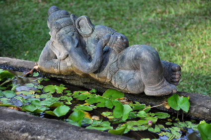 Miniteich mit Wasserpflanzen