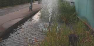 So ungeschützt sollte ein Teich nicht sein. Ein Teich direkt neben einem Weg auf dem Kinder mit Fahrrädern fahren, spielen und dadurch leicht in das Wasser fallen können. Ein Zaun oder eine Gittersicherung wäre hier dringend notwendig.