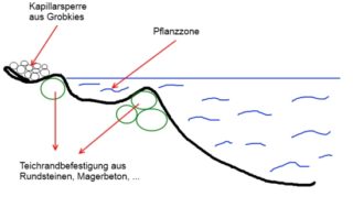 Schema Teichrand