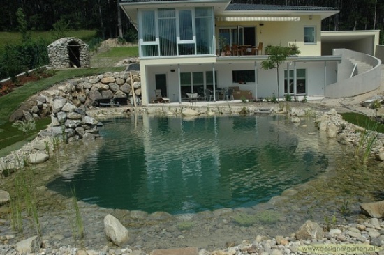 Vorbildlicher Schwimmteich