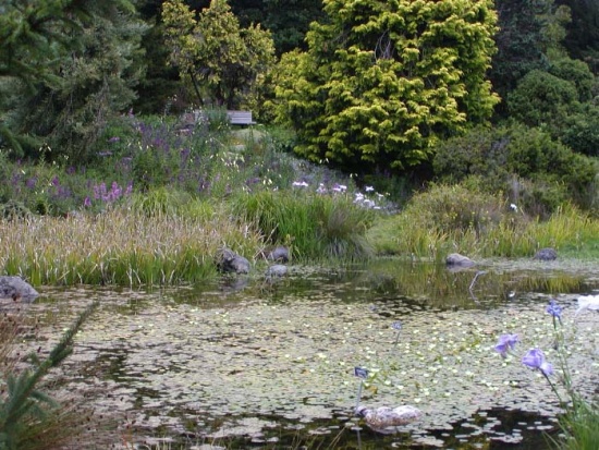 San Francisco Botanical Garden