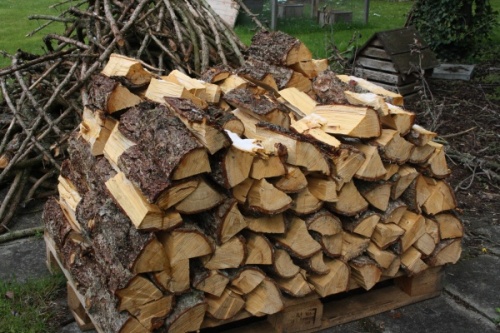 Brennholz für den Winter
