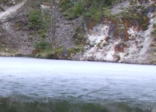 Eisschicht auf dem Gartenteich