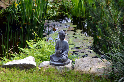 Flachwasserzone im Gartenteich