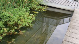 Brücken und Steege am Gartenteich