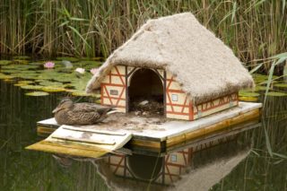 Entenhaus am Gartenteich