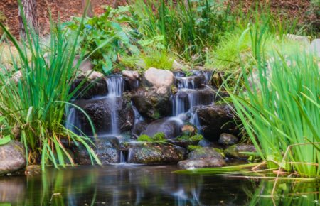 Bachlauf am Gartenteich