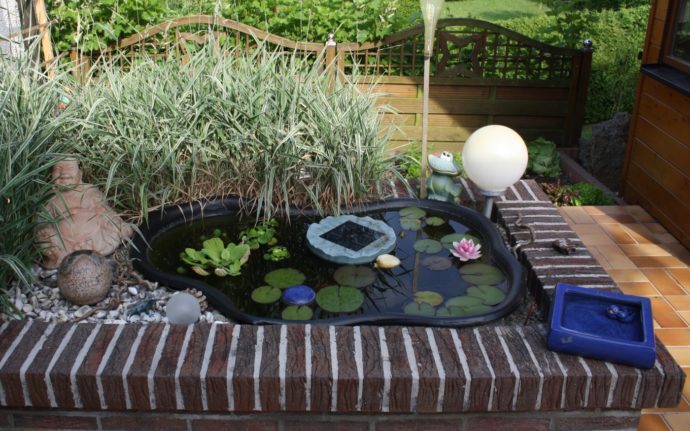 Wasserminze im Gartenteich Frischer Minzgeruch am Wasser Gartenteich