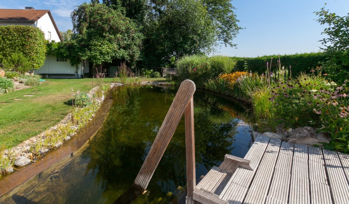 Ein Kiesbeet anlegen Anleitung und Tipps Gartenteich Ratgeber