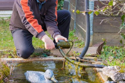 Filtersysteme im Überblick Anordnung von Filter & Pumpe, mehr