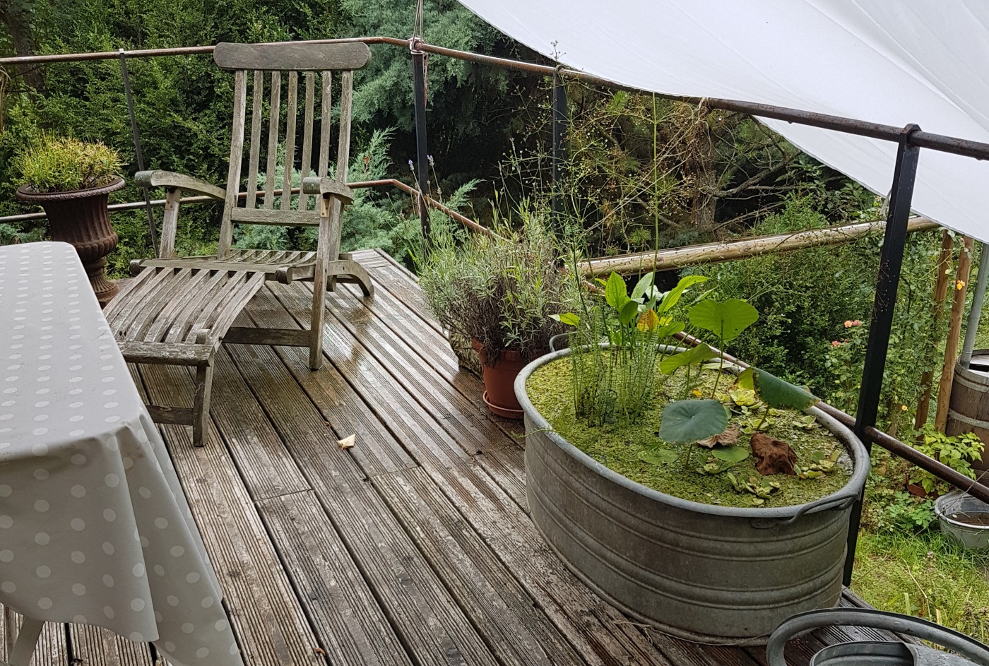 Ein Miniteich Auf Dem Balkon Gartenteich Ratgeber