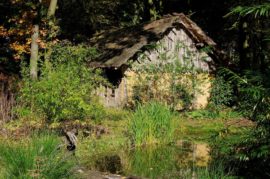 Die Ringelnatter vertreiben Gefahr für Frösche und Fische im Teich