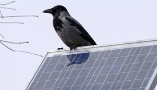 Solar Teichfilter