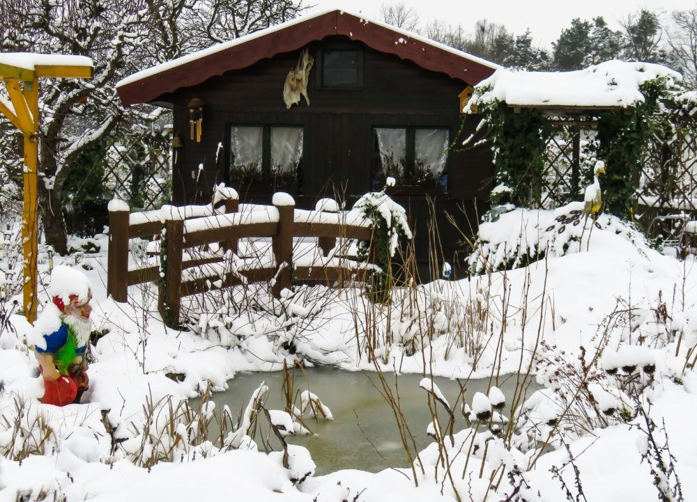 Teich winterfest machen Teichpumpe, Einsfreihalter, Seerosen Alle Tipps