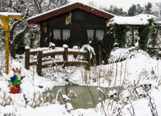 Teich winterfest machen