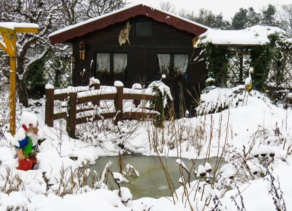 Teich winterfest machen Teichpumpe, Einsfreihalter, Seerosen Alle Tipps