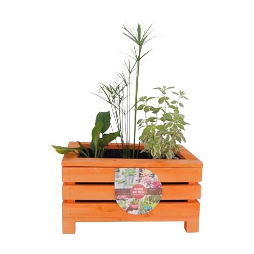 UNUS Miniatur Teichbecken, Miniteich in Holzkiste mit separatem Plastikeinsatz, für Balkon oder Garten, 44 x 31 x24 cm, pflegeleicht