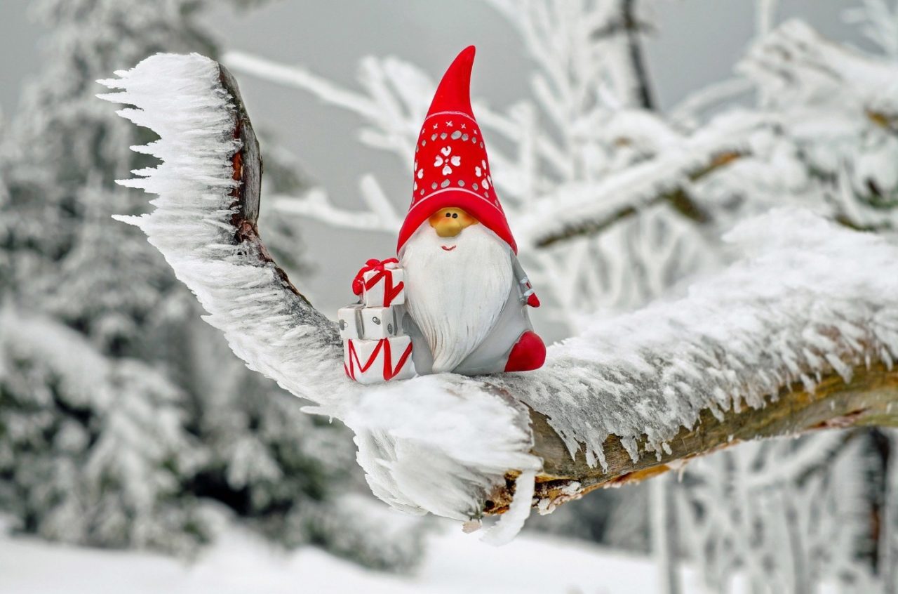 Advent im Garten