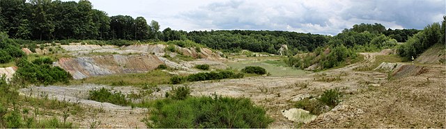 Lebensraum der Geburtshelferkröte