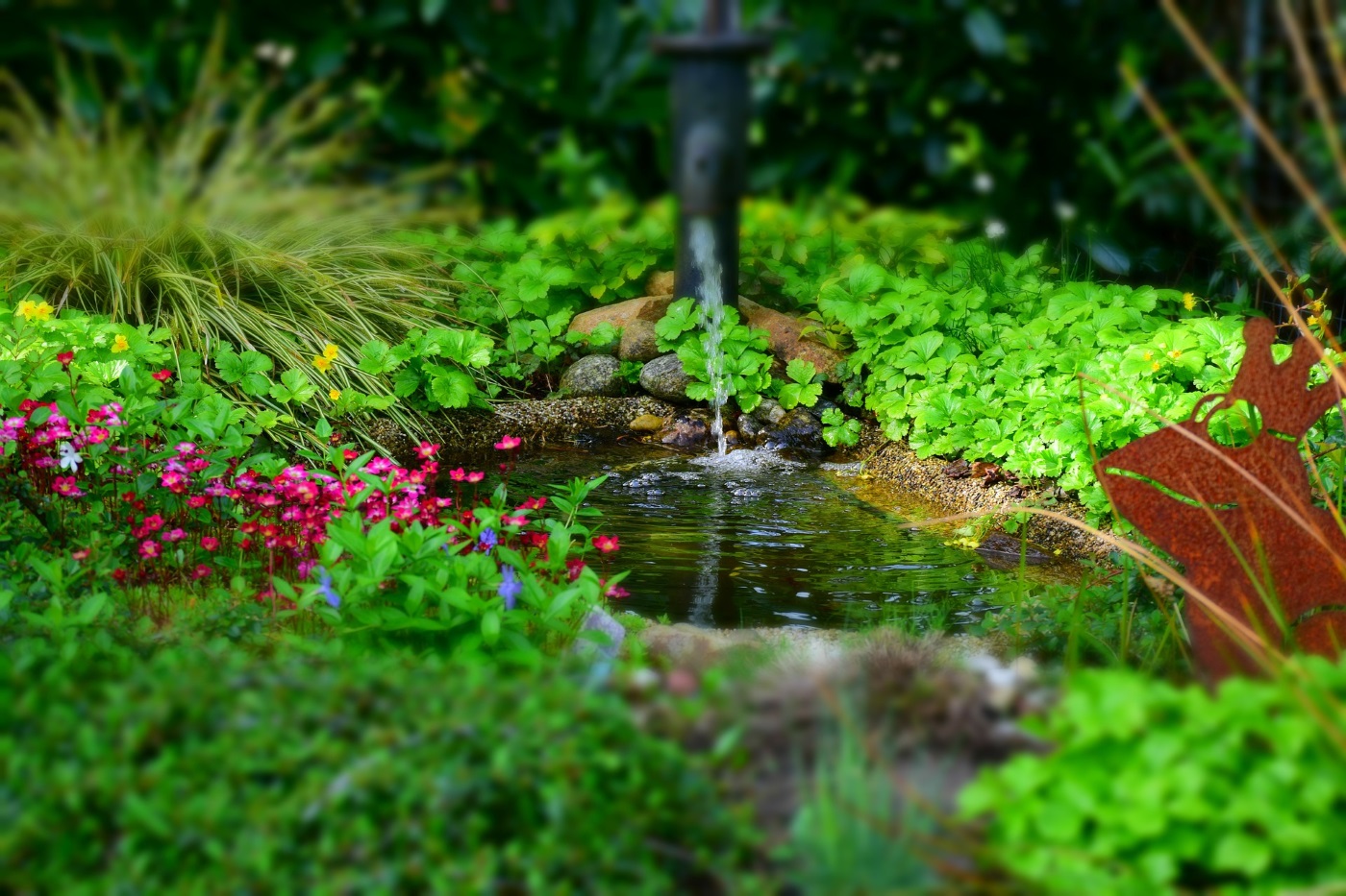 Was kostet ein Gartenteich? Gartenteich Ratgeber
