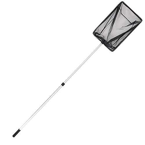 OASE 36297 Algenkescher groß