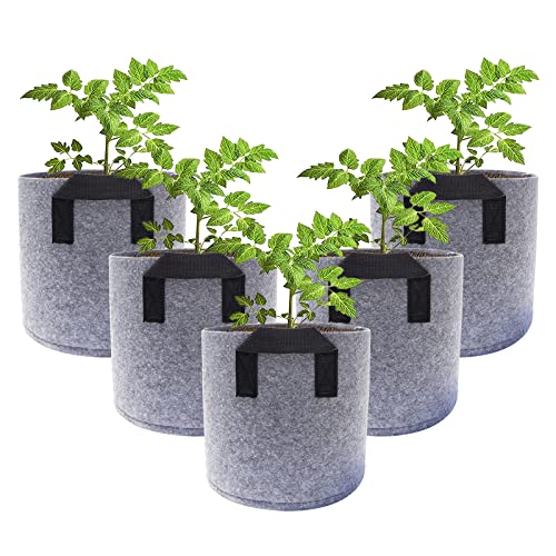 Kartoffel Pflanzsack, Pflanzsäcke Für Draussen Und Drinnen, Pflanzbeutel Vlies, Kartoffel Pflanztopf Set, Pflanztasche Filz Klein Für Tomaten Gurke Möhren Salat 5 Stuck (3 Gallonen, grau mit griff)