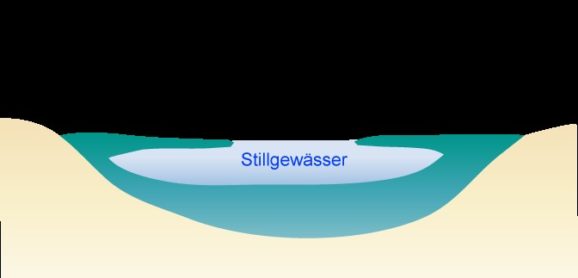 Moorteich anlegen und bepflanzen So gehts nach dem Vorbild Natur!