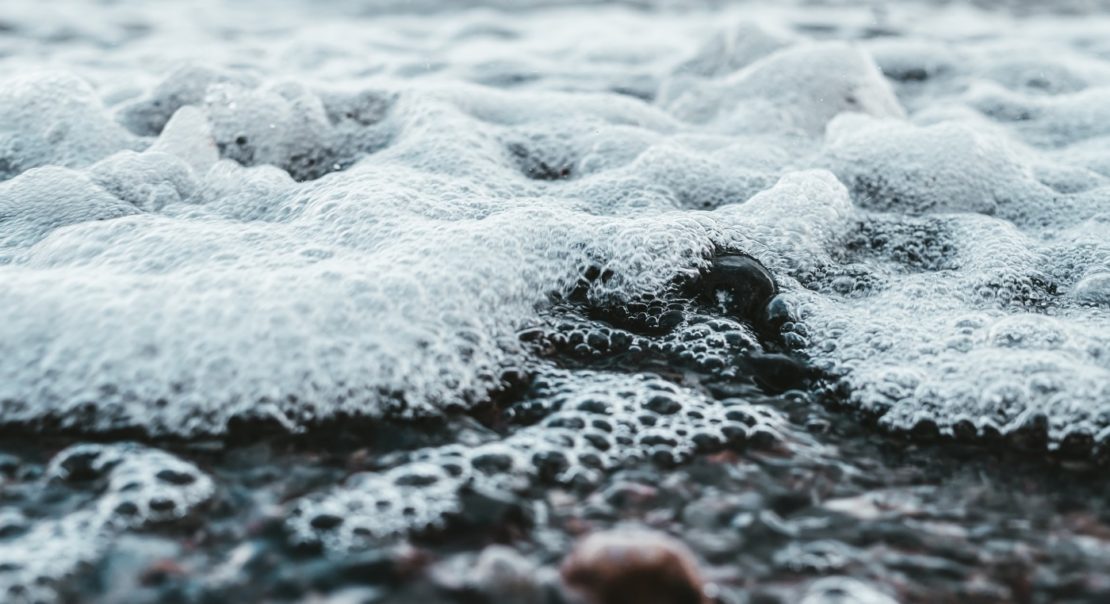 Teichwasser schäumt