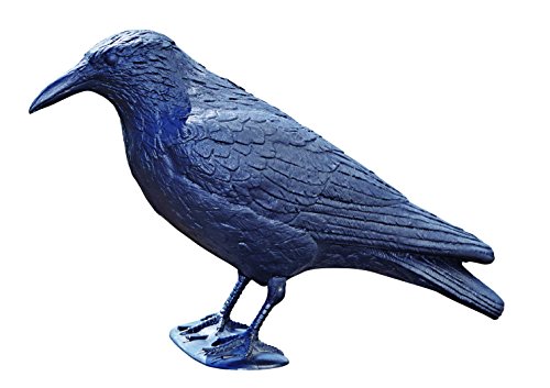 OASE 43335 Tiere Rabe sitzend, schwarz - Dekoration | Deko | Gartendekoration | Vogelabwehr | Taubenabwehr | Teichdeko