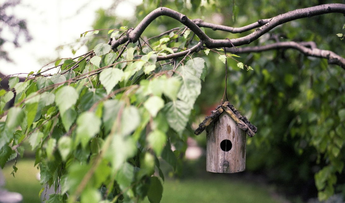 Garten im Klimawandel