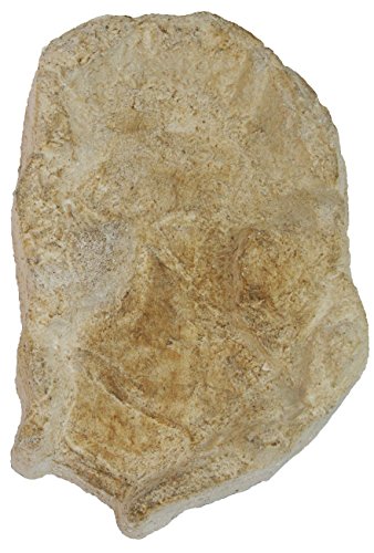 Wasserkaskaden Wasserfall Fulda Verlängerung Fels, Beige/Braun, 60 x 41 x 8 cm