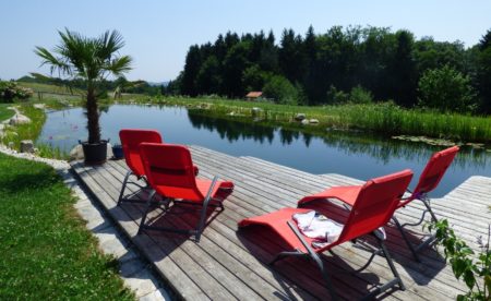 Schwimmteich reinigen